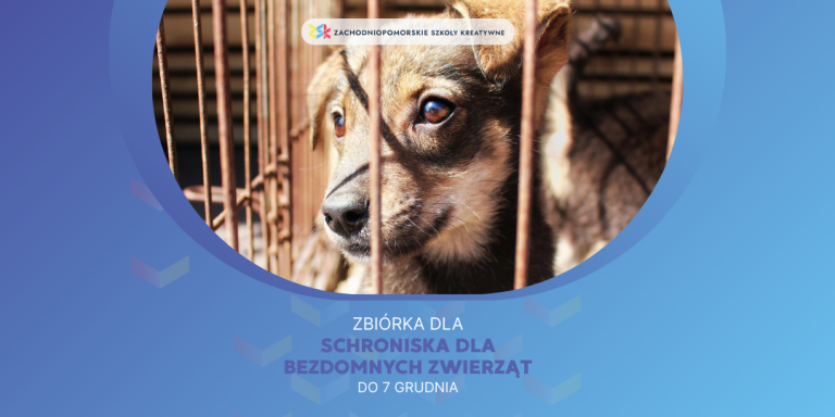 Rusza szkolna zbiórka na rzecz Schroniska dla Bezdomnych Zwierząt w Szczecinie!